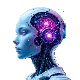 Binary Money Management Software